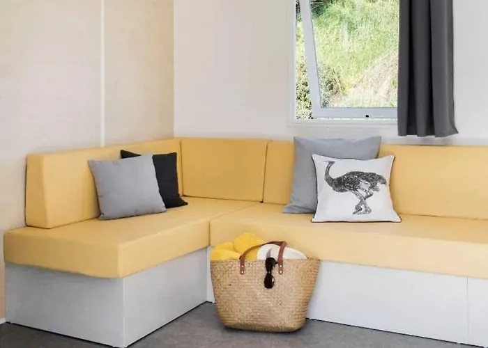 Zecamping Familial Dog Friendly Familial Parc Aquatique *